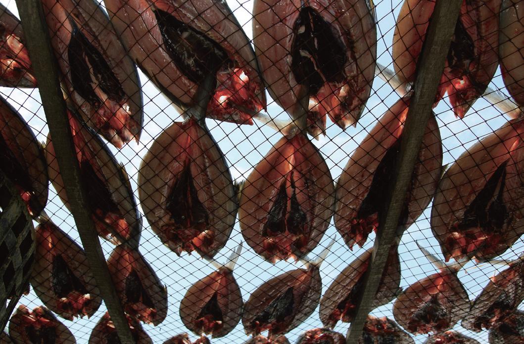 Dried Milkfish in Longshan Village. Photograph by Chen Ji-peng