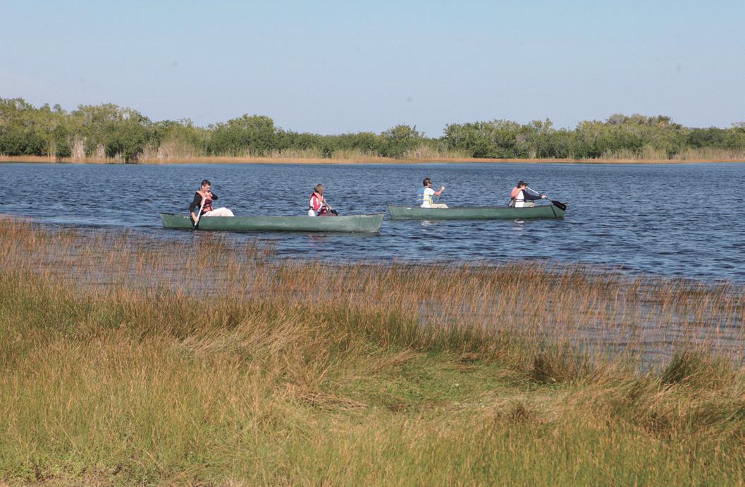 Visitors can picnic within the Everglades Park , and take part in trips through publicly-accessible areas.