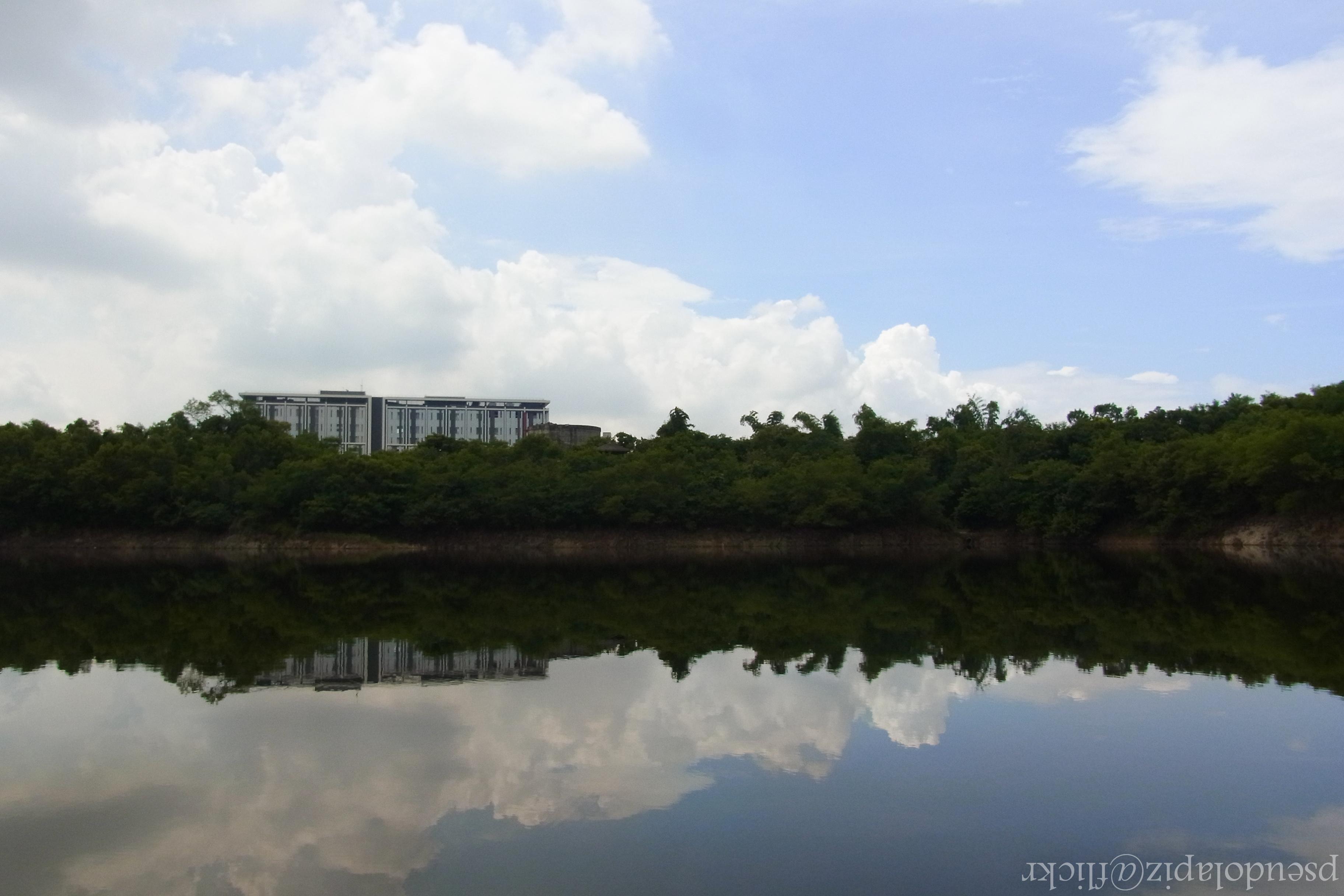 地方級濕地─高雄半屏湖濕地。圖／洪貫捷