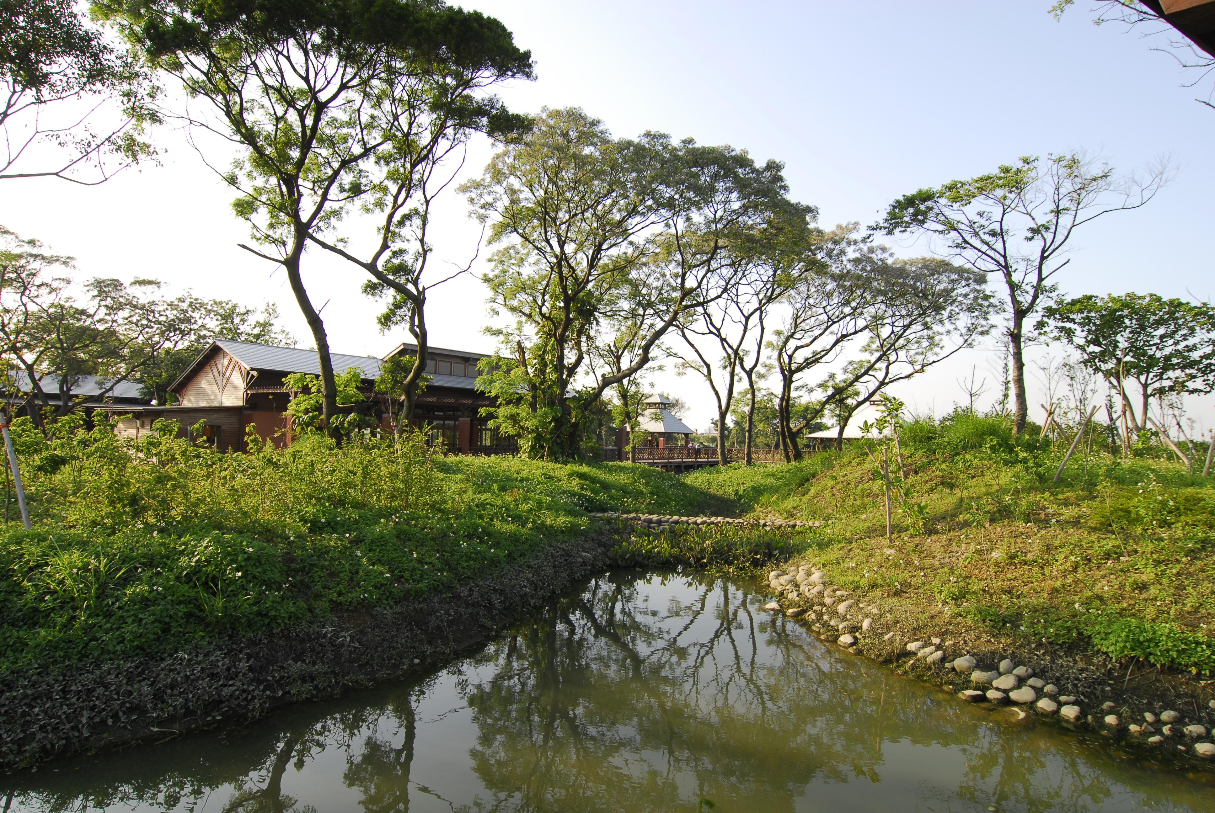 桃園八德埤塘生態公園。圖／陳吉鵬