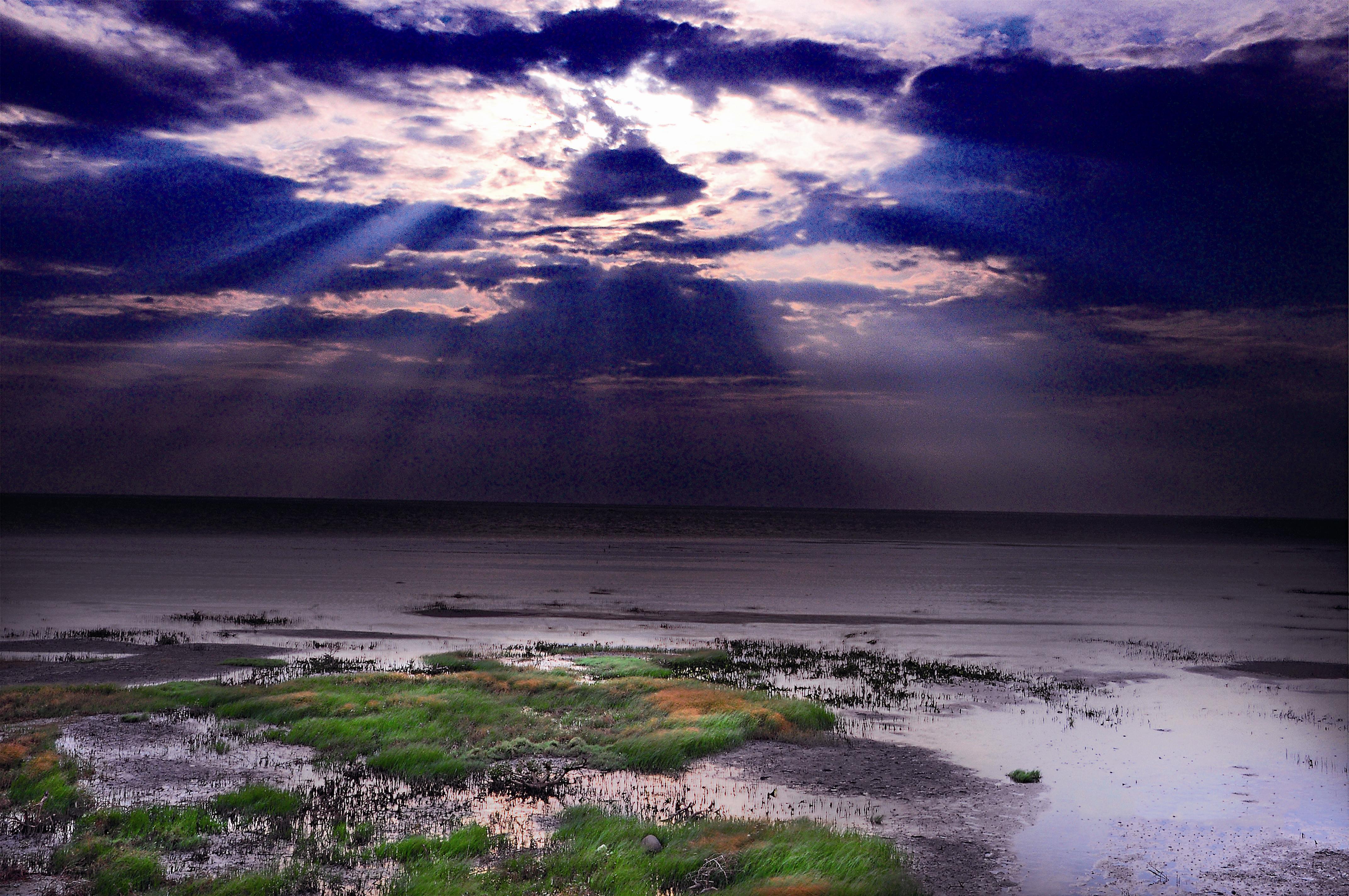 國家級濕地─新竹香山濕地。圖／張光文