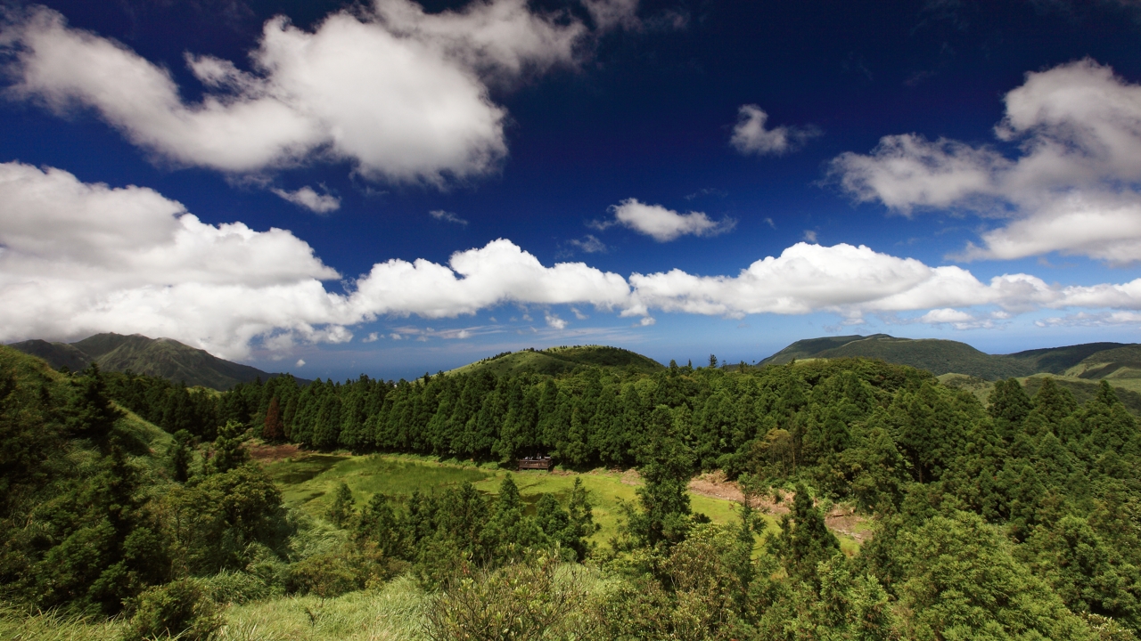夢幻湖生態保護區為特有臺灣水韭的棲地。圖／陳肯尼