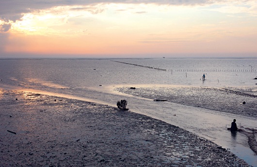 The Fubao wetlands possesses unusual ecological resources, and more than one hundred birds have been sighted here. Photograph by Alex Pro