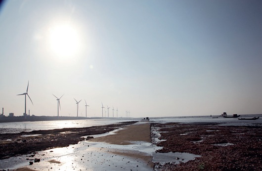 Changhua Mud Shrimp Protection Area. Photograph by Chen Ji-peng