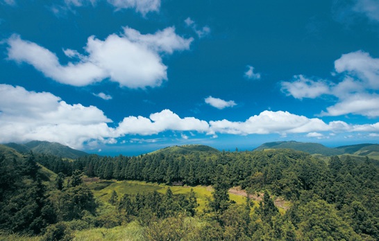 Menghuan Pond Ecological Conservation Area is located halfway up Mt. Chihsing in the Yangmingshan area, and harbors the the quillwort Isoetes taiwanensis. Photograph by Kenny Chen