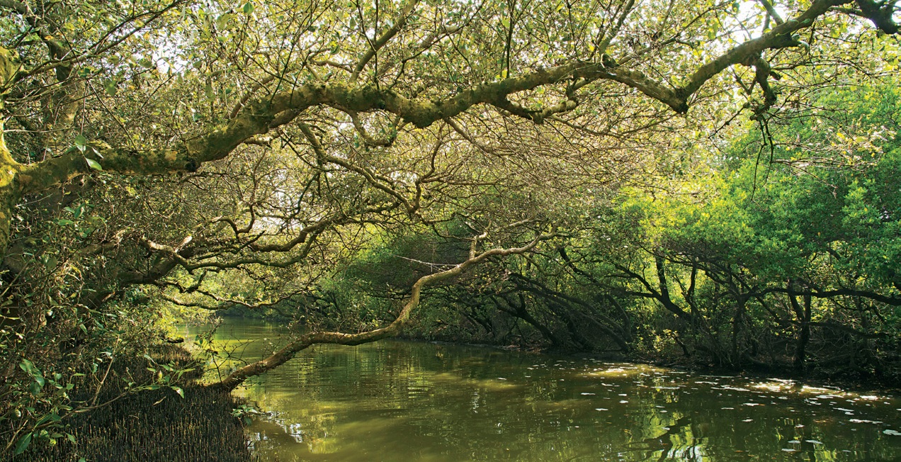 Sicao Wetlands, Old Taijiang Inner Sea. Photograph by Liu Si-yi