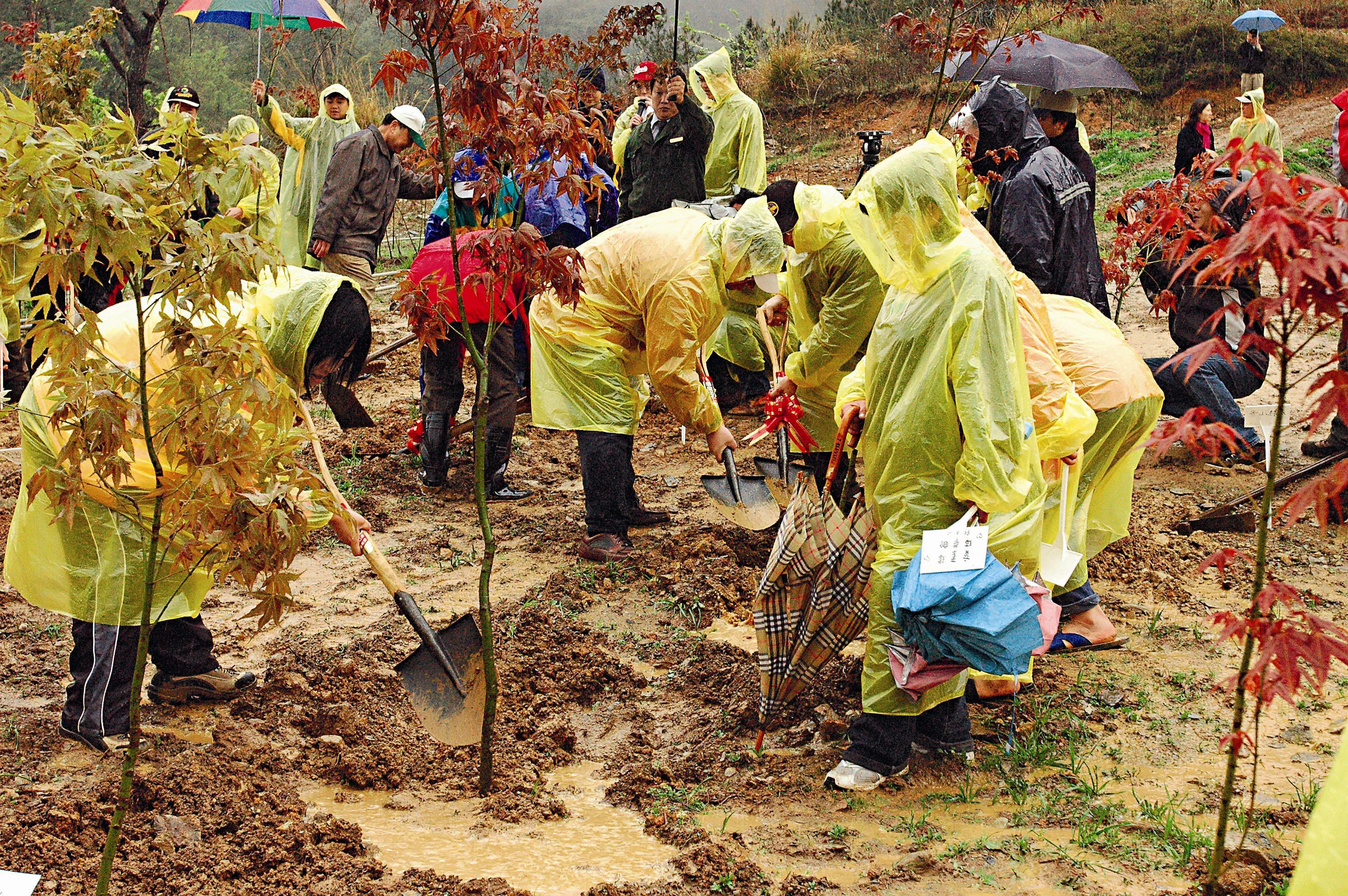 七家灣溪果一區沿岸保護帶進行復舊造林。圖／雪霸國家公園