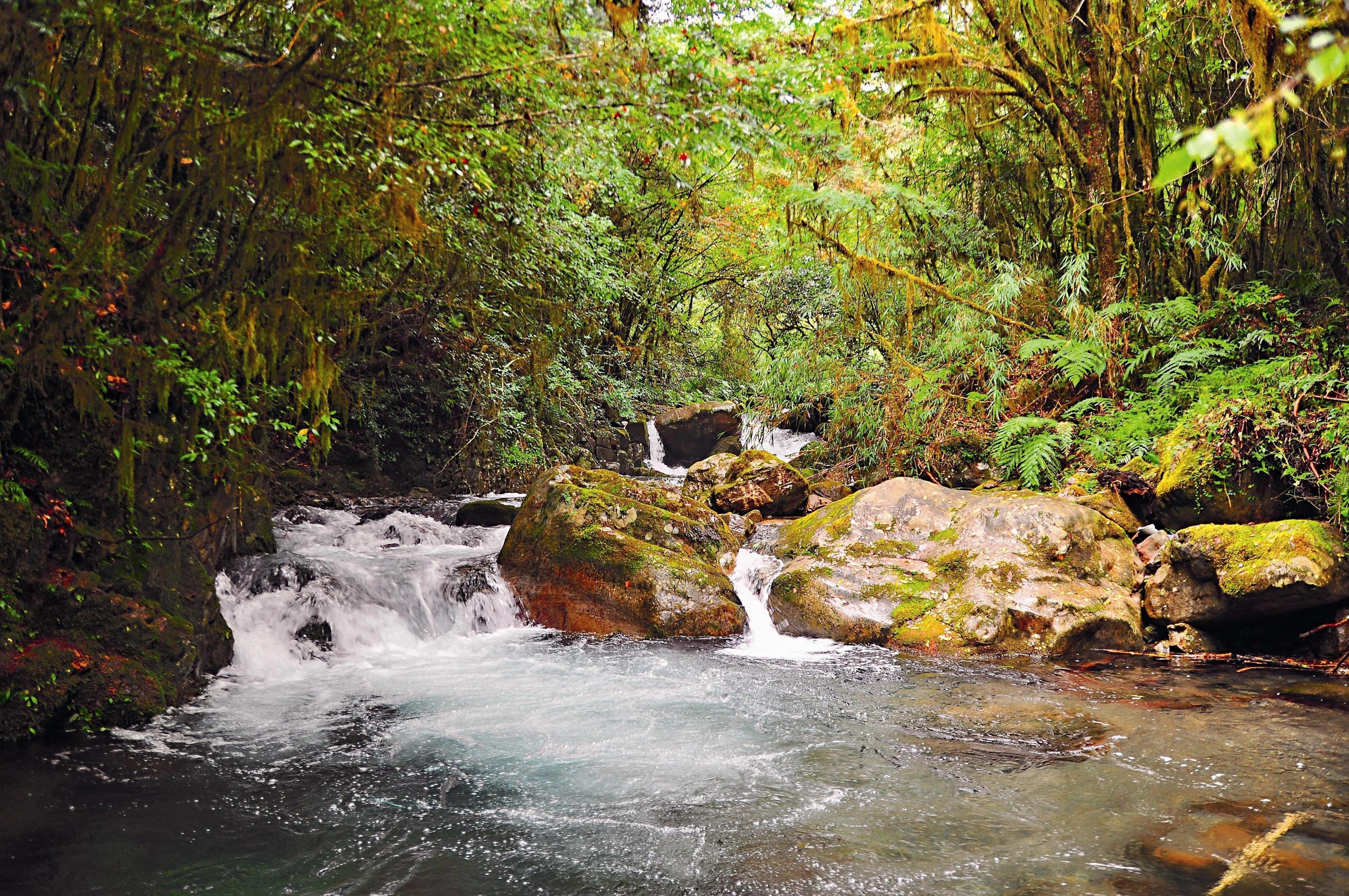 Deep pools and areas with gravel beds provide the most suitable habitat for salmon.