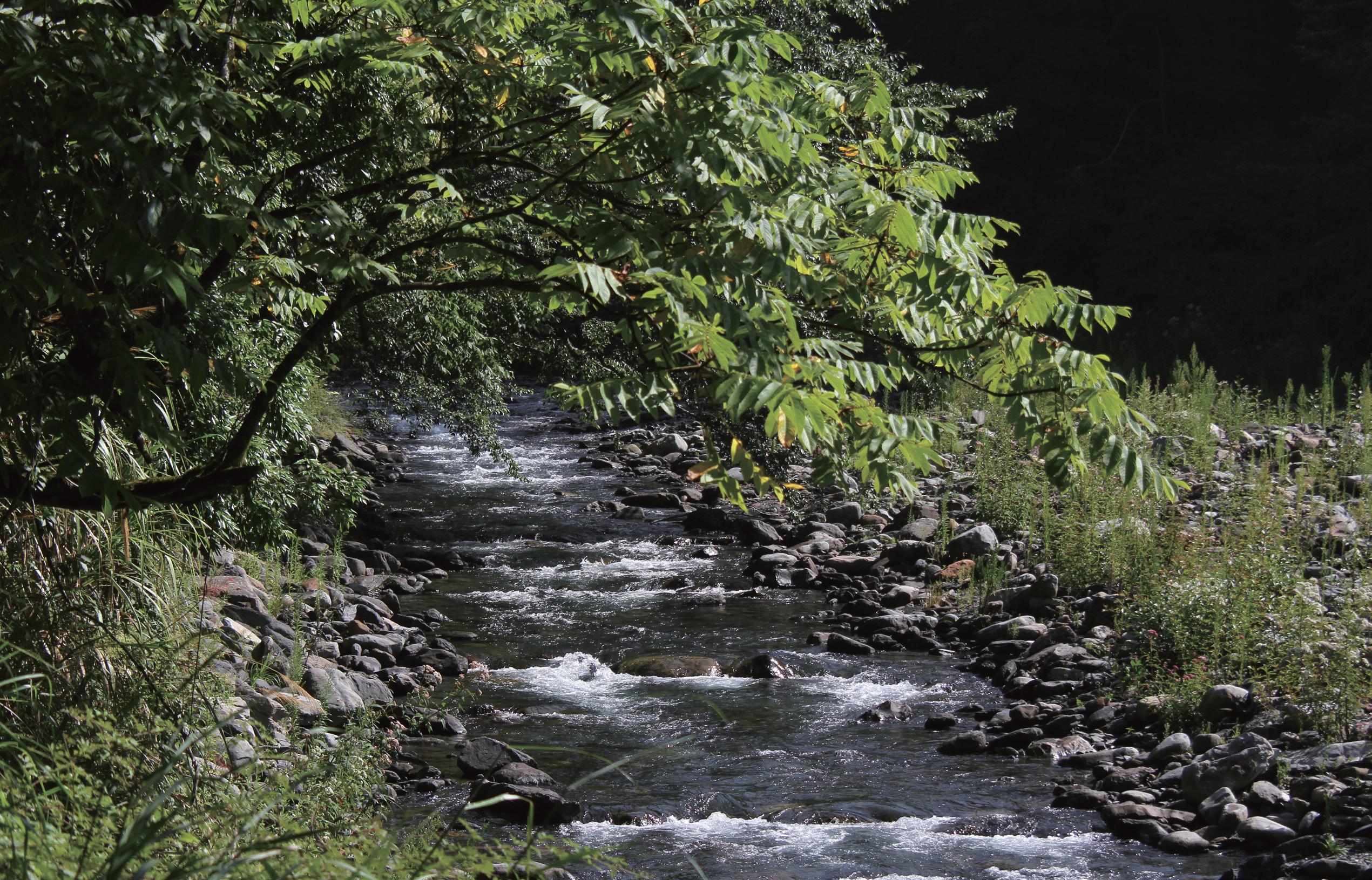 Qijiawan Creek Wetland. Photographc Shei-Pa National Park