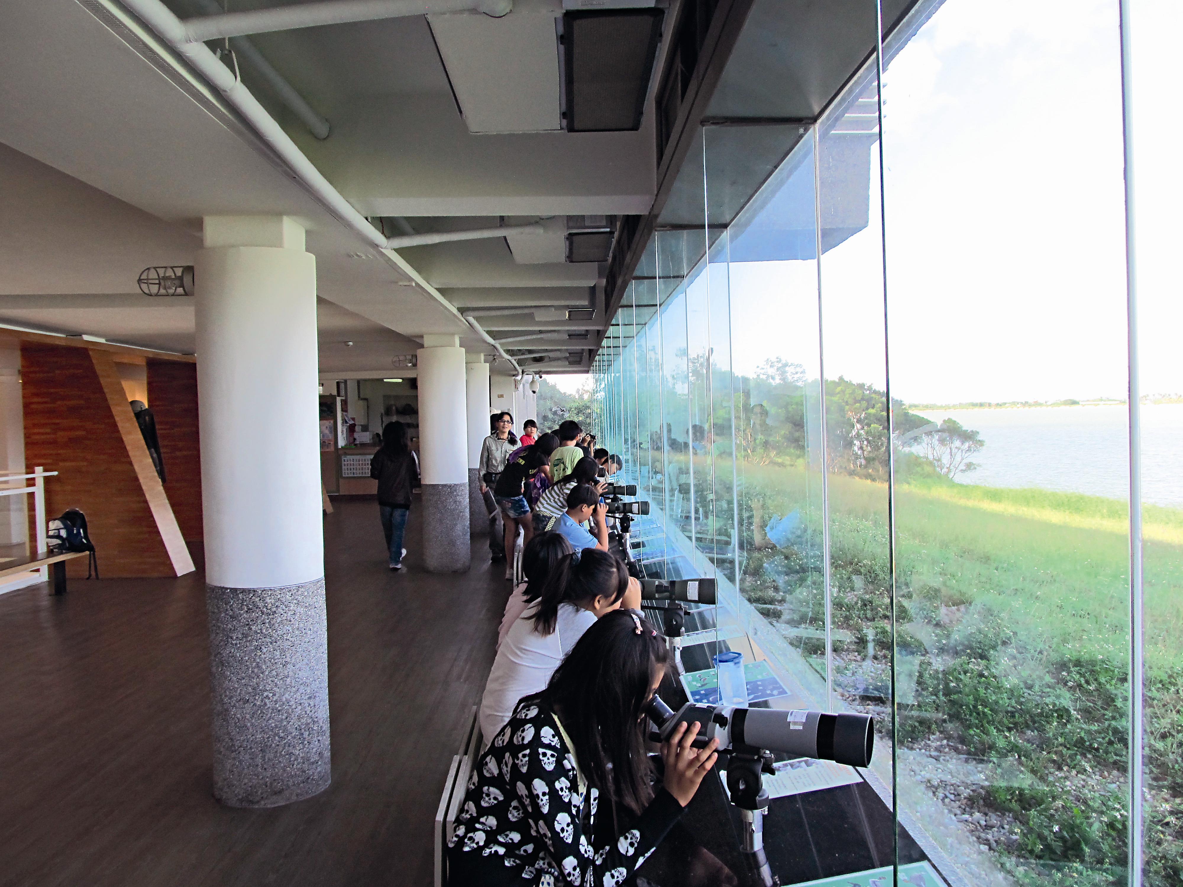 龍鑾潭水面的水鳥觀察。