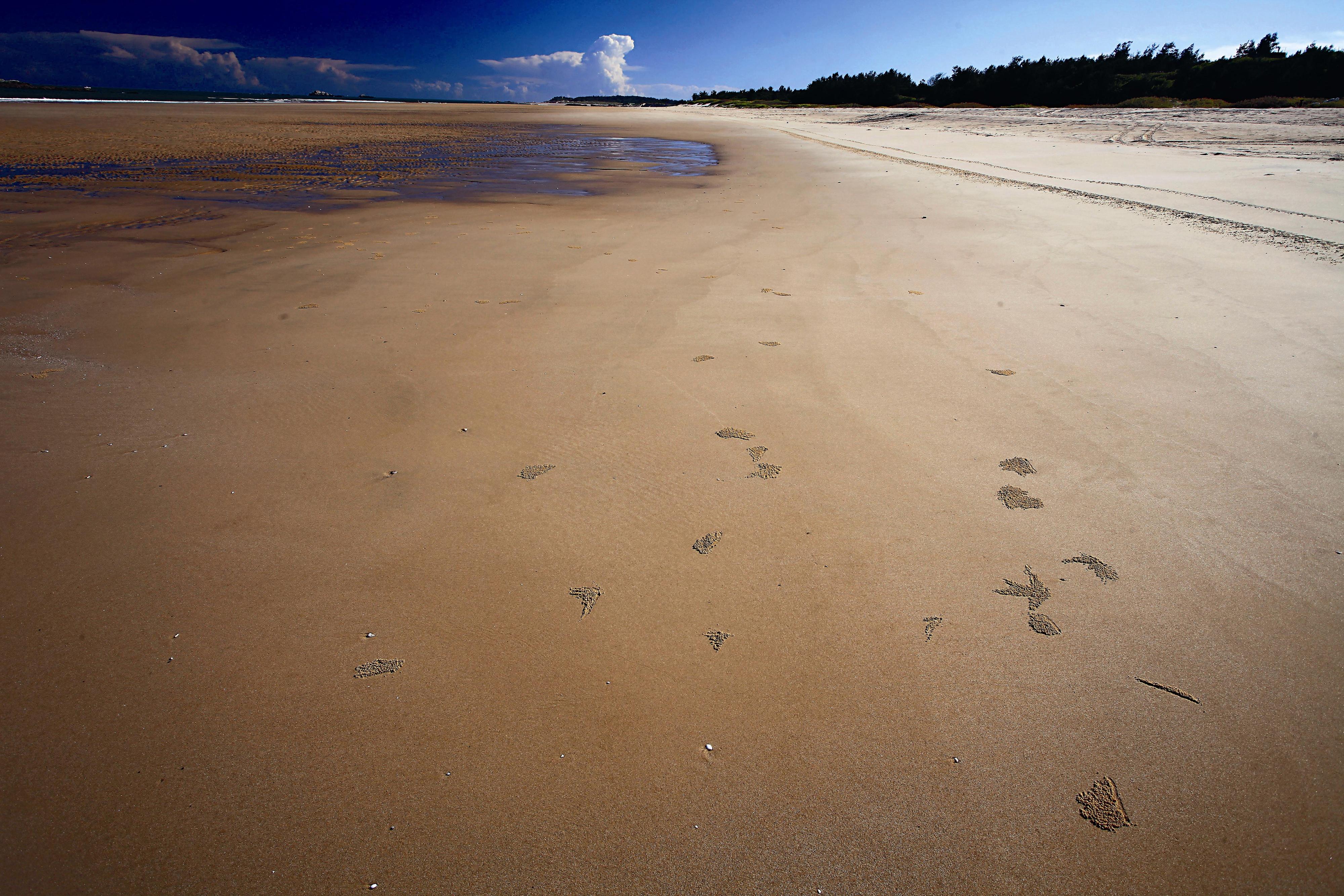 綿延無盡的沙岸，是金門主要的海岸類型。