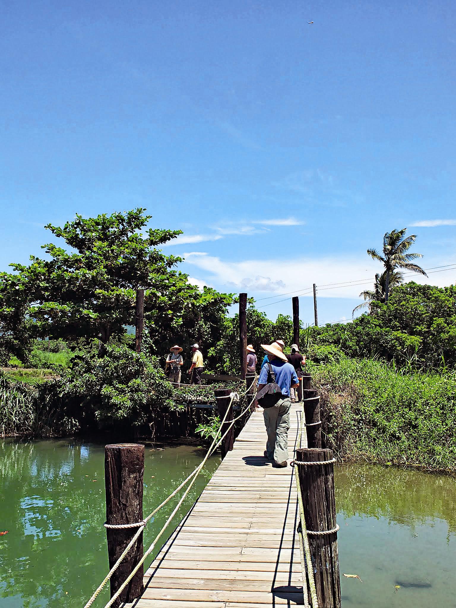 行走在「埤仔頭」的棧道上認識龍水社區的天然湧泉。