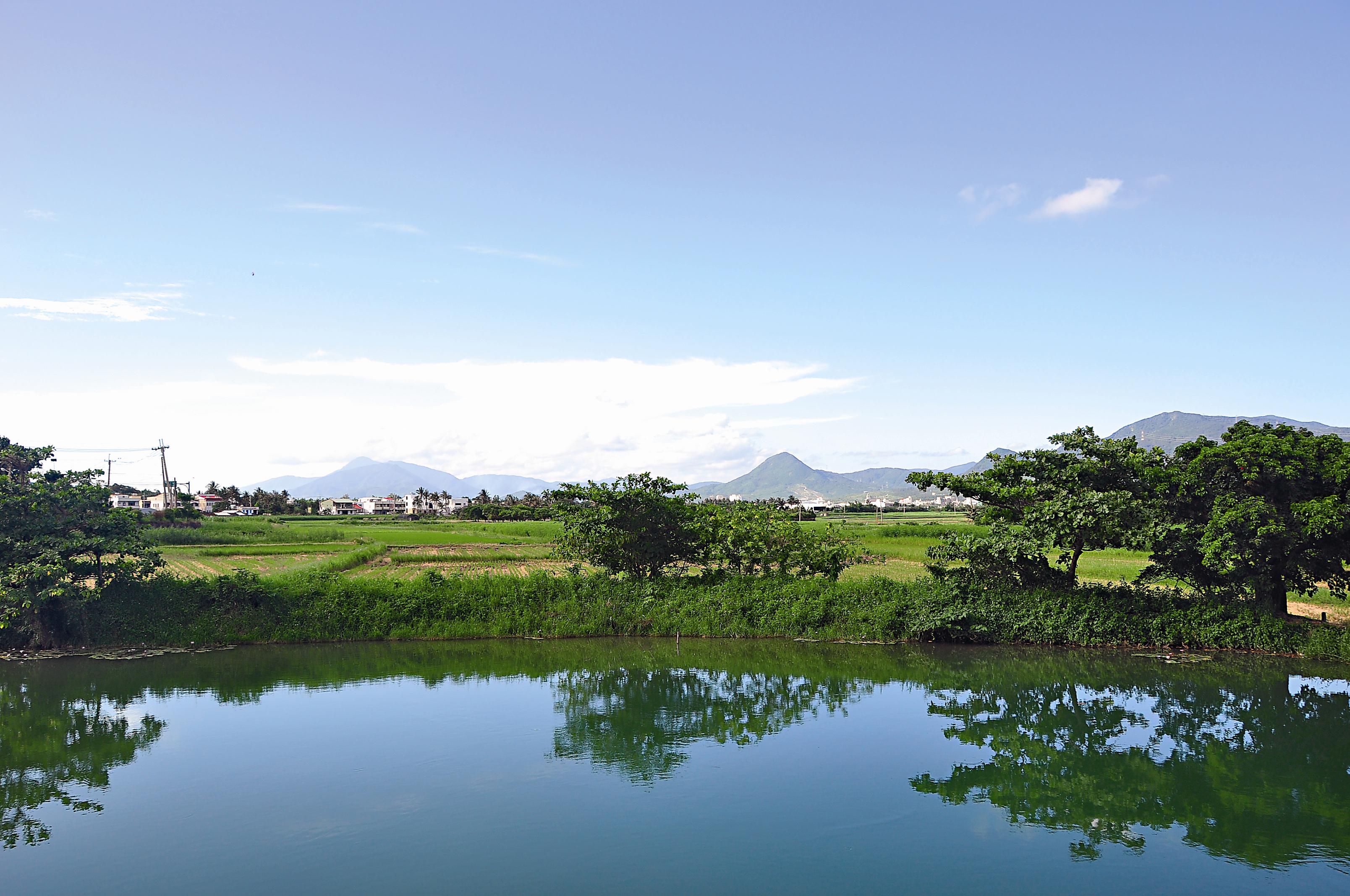 龍水湧泉是有機稻的灌溉水源。