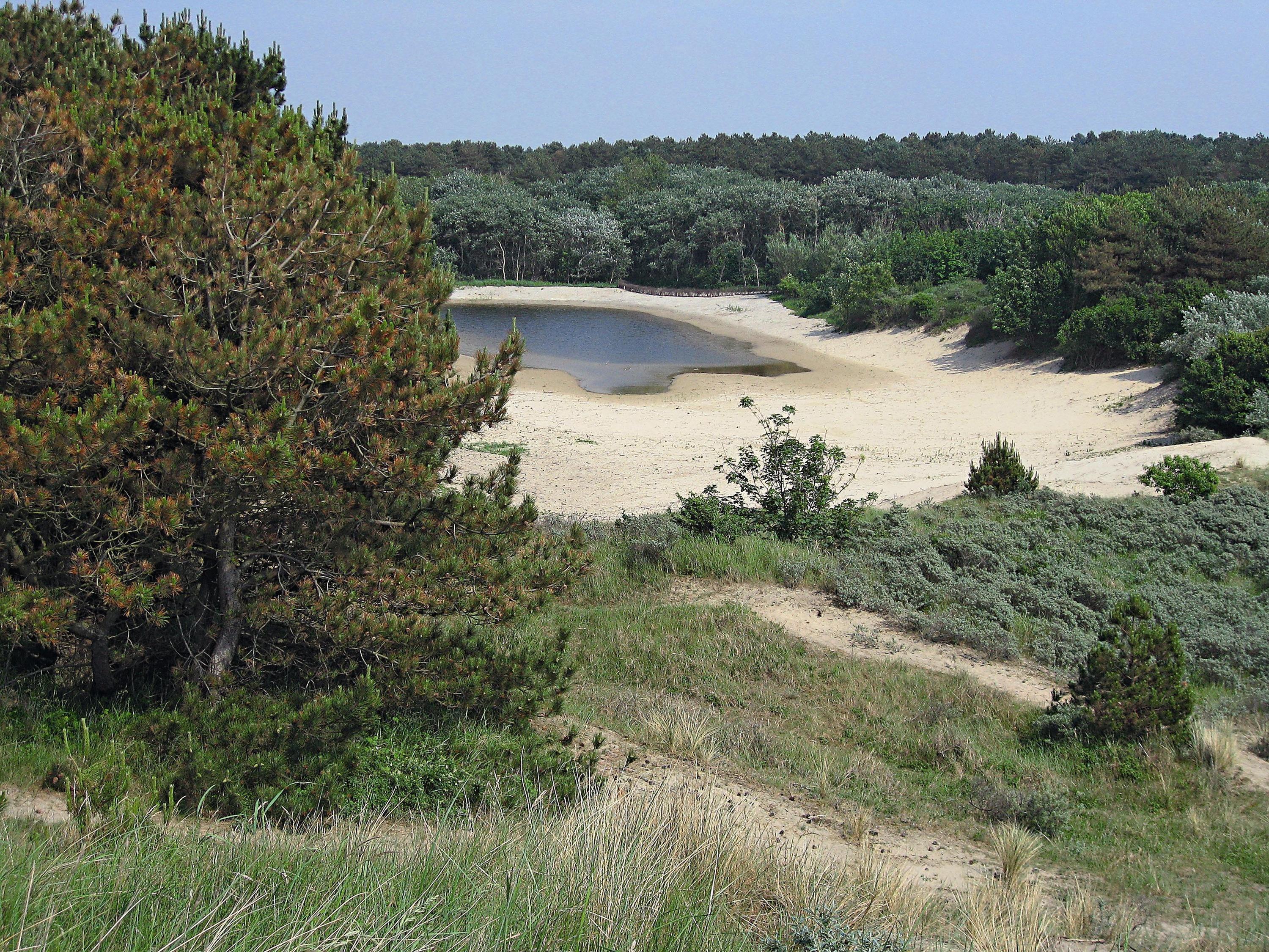 除了泥炭土與潮埔地外，沙丘地形零星分布於荷蘭的海岸線上。