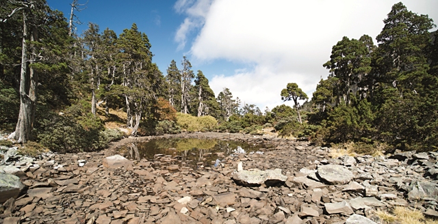 Lake Cui is Taiwan's highest mountain pond. Located below a scree slope on the west ridge of the main peak of Mt. Xue, the lake is a source of the Da-an River.