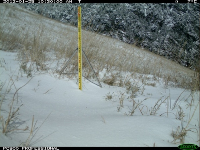 三六九氣象站。