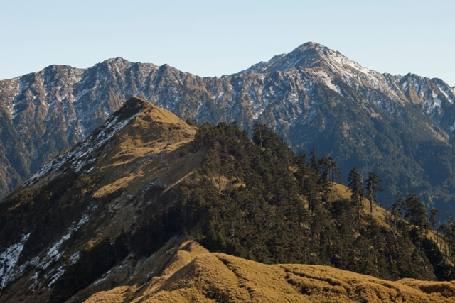 雪量少，在玉山箭竹草坡上摻雜的景觀。圖／劉思沂