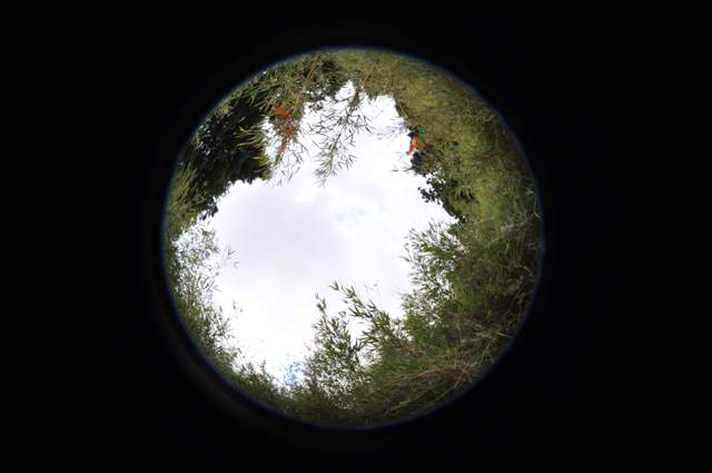 Fish-eye camera photography of environmental factors—Dynamic changes in forest crown and gap.Photograph by HuangJian-lu.