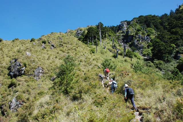 朝遠方的石瀑區前進。