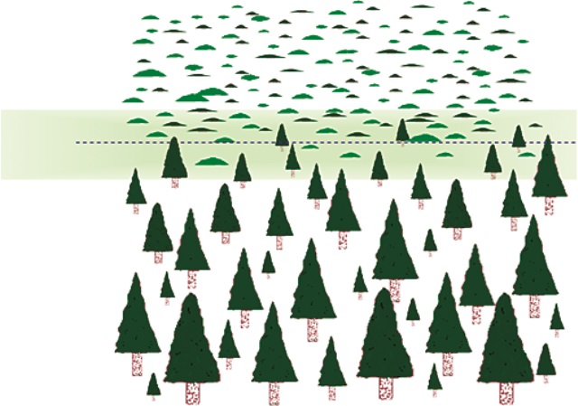 直立森林與矮盤灌叢之交界，應該判定為「‟帶」或‟「線」？有時除了是考量推移帶的寬度外，也受到研究尺度的影響。