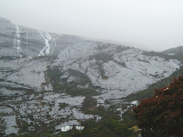 接近赤道的東南亞第一高峰神山，由於山頂上的巨大岩石而阻止了森林往更高處發育。