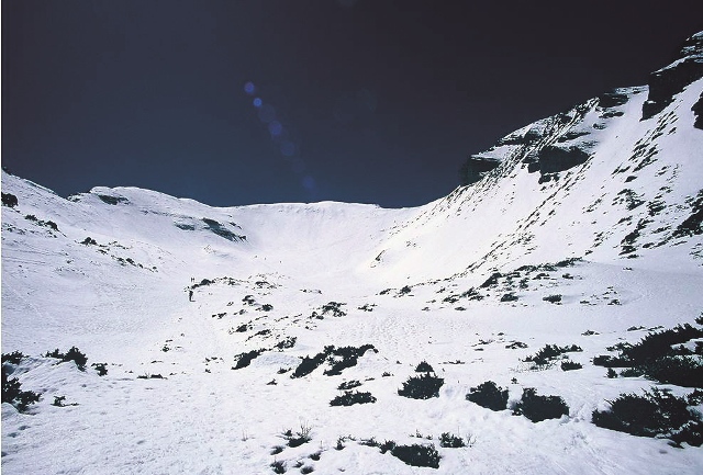 雪山一號圈谷矮盤灌叢的冬季景觀。圖／許景棋