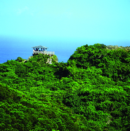 社頂自然公園俯瞰熱帶風衝矮林／墾丁國家公園提供