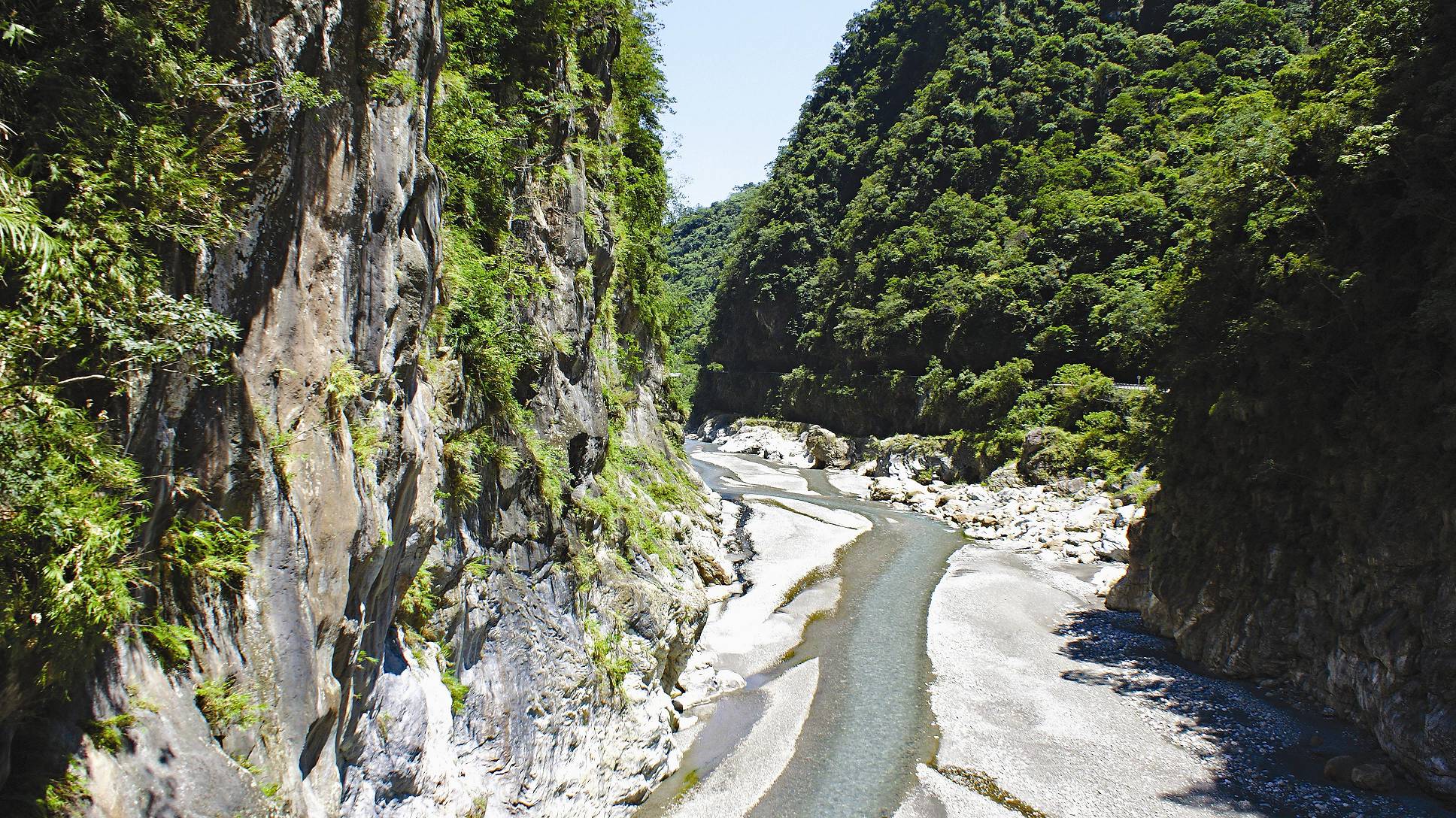 太魯閣峽谷地形使岩生植物的表現更為突出／江殷儒攝