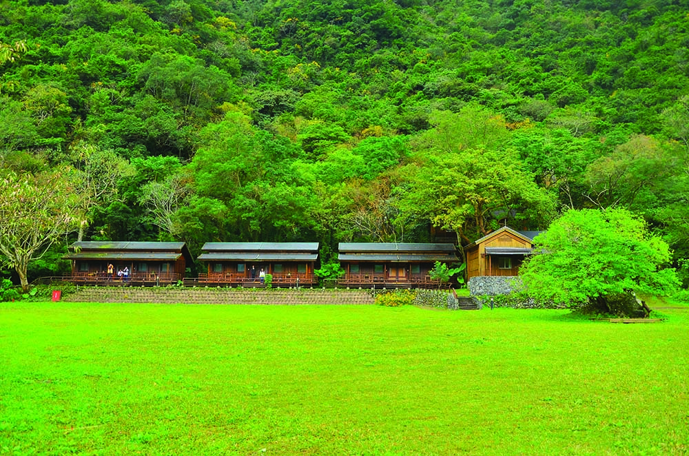 布洛灣上台地山月邨後方森林為熱帶季風雨林／林茂耀攝