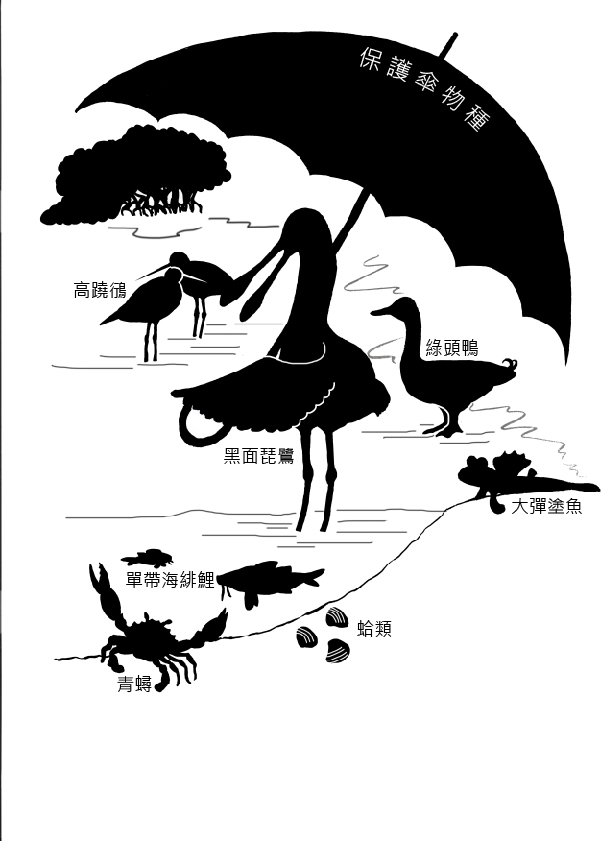 保護傘物種 Umbrella Species