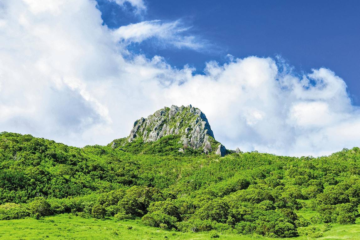 墾丁國家公園大尖山／莊信賢攝