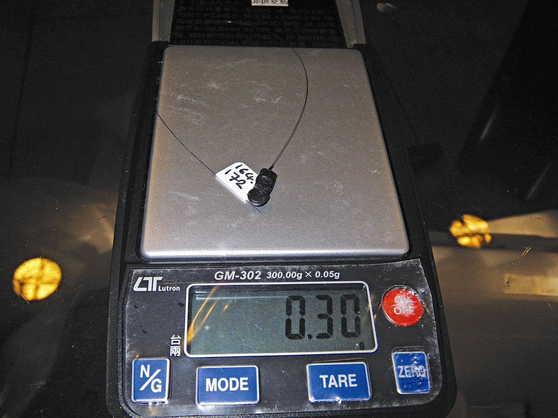 使用在蝙蝠身上的無線電發報機重量僅0.3克／陳家鴻攝