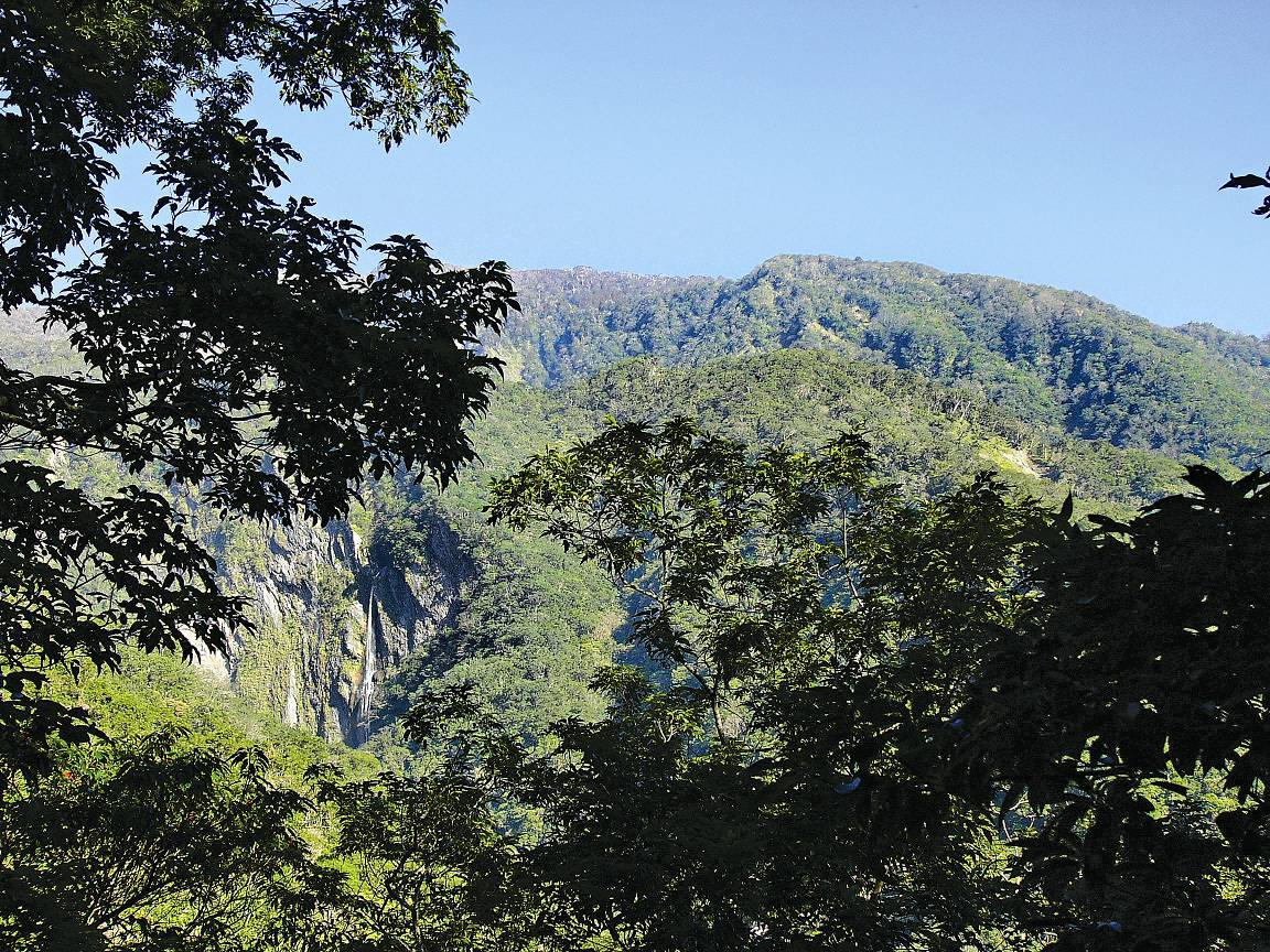 太麻里溪森林／姜博仁提供