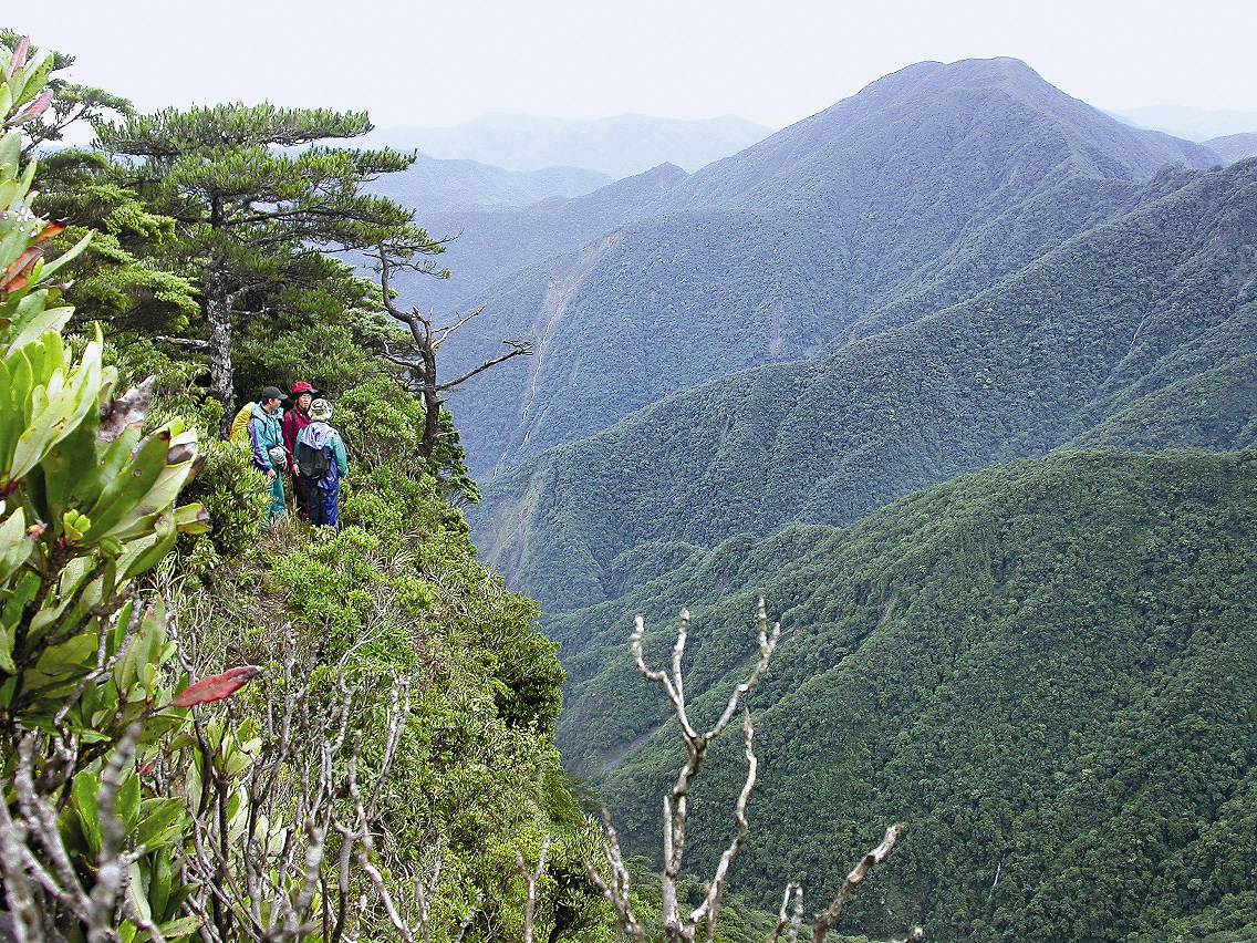 調查人員在北大武山杷宇森稜線南望方屯山稜線／姜博仁提供