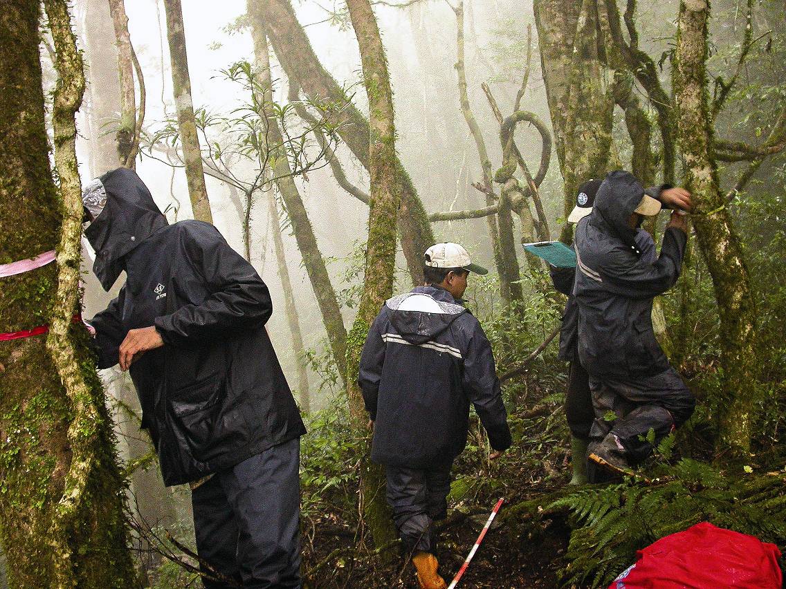 測量記錄樣點的棲地與植群以了解動物的棲地利用狀況