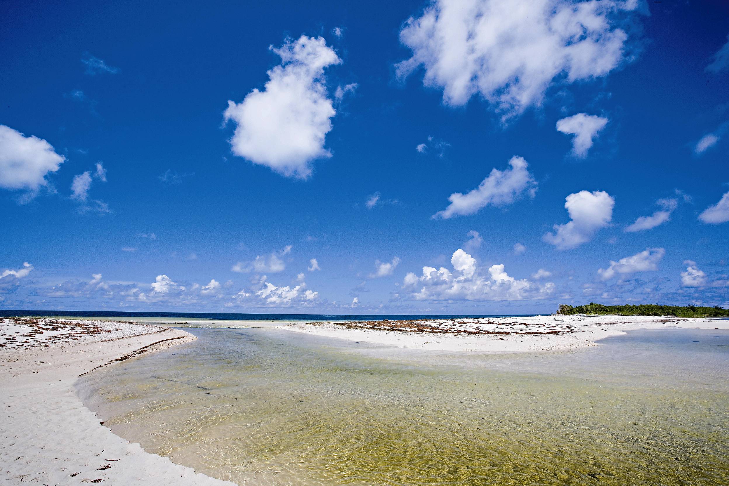 東沙潟湖夏日景觀／李國維攝