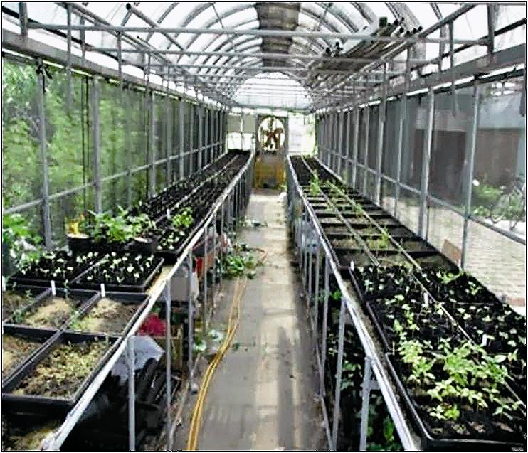 二次處理單元回收水作為東沙苗圃澆灌用水