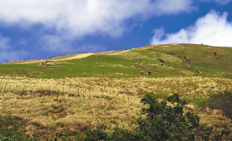 踏青嬉春門馬羅