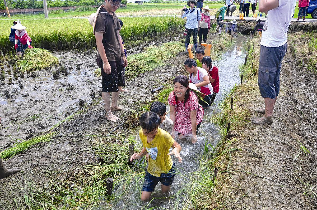 龍水豐年—割稻體驗之旅