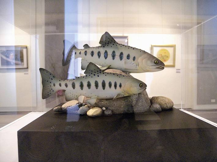 絕色山河—透過藝術的保育