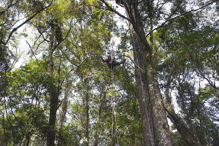 雪見原鄉—來去部落住一晚&探索21m樹冠生態之旅