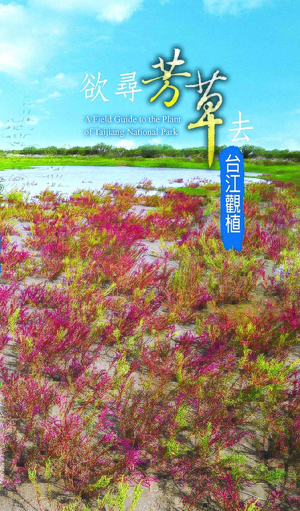 欲尋芳草去—台江觀植