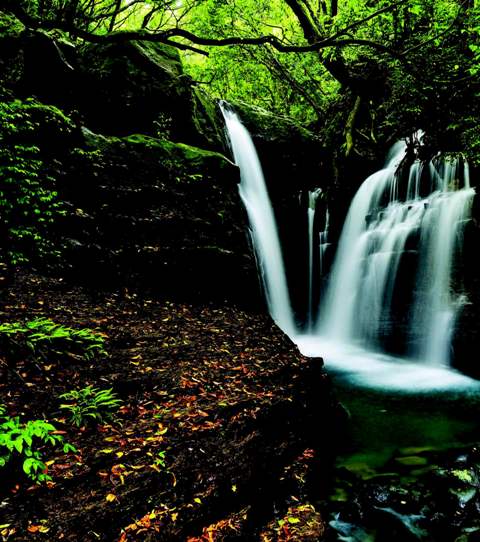 天溪園瀑布／黃基峰攝