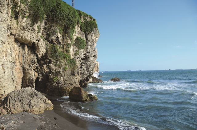 旗後山高位珊瑚礁／壽籌處提供