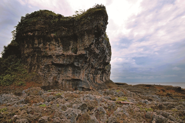 隆起珊瑚礁上的刻痕記錄著海岸上升的過程／徐思琦攝