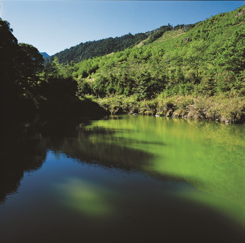 南橫天池／簡敏男攝