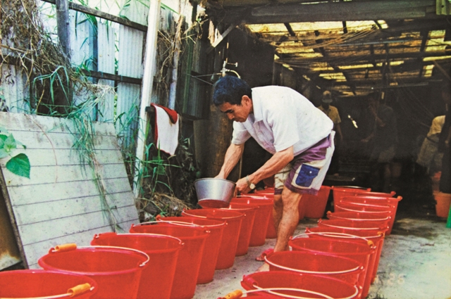 拍頭─魚苗行早期會將四處收購的魚苗,憑經驗均分成某等分數/台管處提供