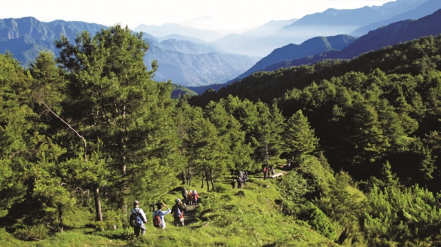 塔塔加步道／玉管處提供