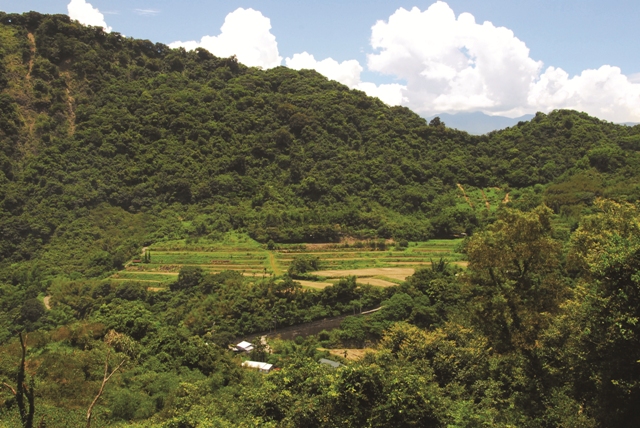 吉拉哈艾的梯田維持著人類所需與自然資源的動態平衡／林茂耀攝