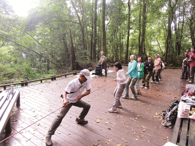 雪霸樹冠層生態營/傅國銘攝